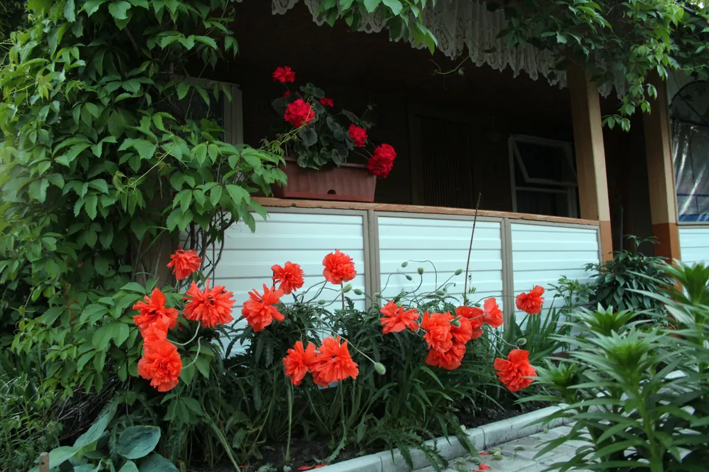 Дом на берегу