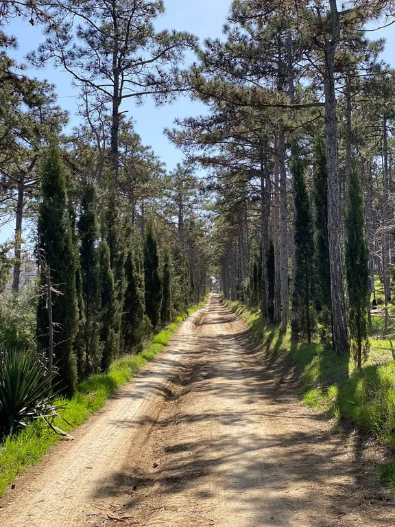 Комфортная студия "Палермо"