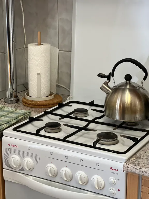 Квартира Садко Апартаменты на торговой исторической стороне города — Великий Новгород