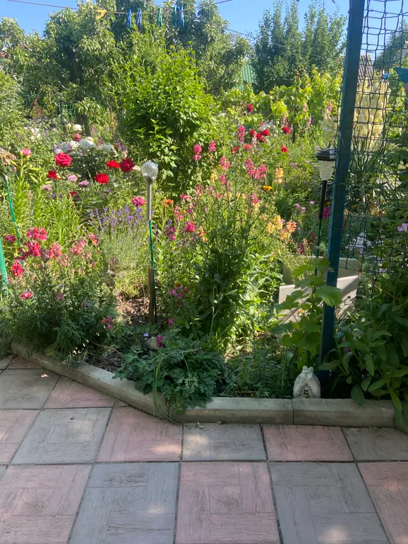 Уютная комната около моря