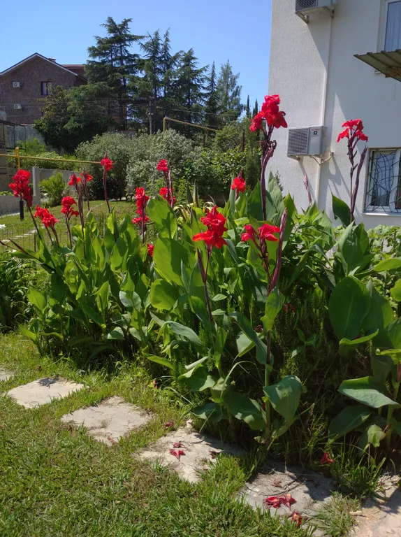 2-комнатный Дом