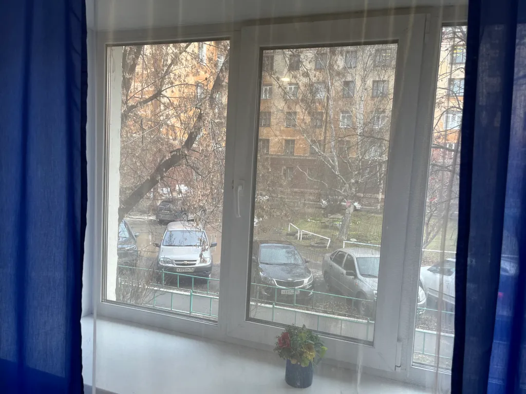 Расчетный счет, отчетные документы