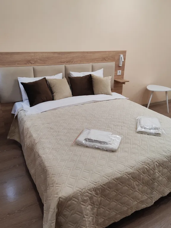 Современная квартира - студия с видом на новый мост