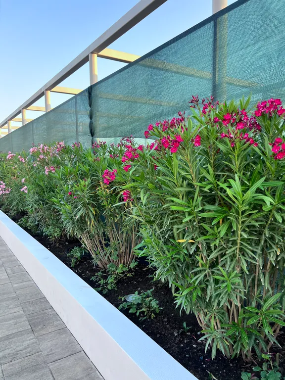 Уютный номер в центре Сочи рядом с морем