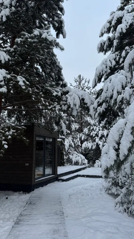 Скандинавский дом с ванной внутри и видом на лес