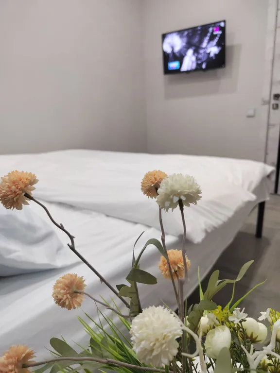 Квартира с видом на Волгу в центре города