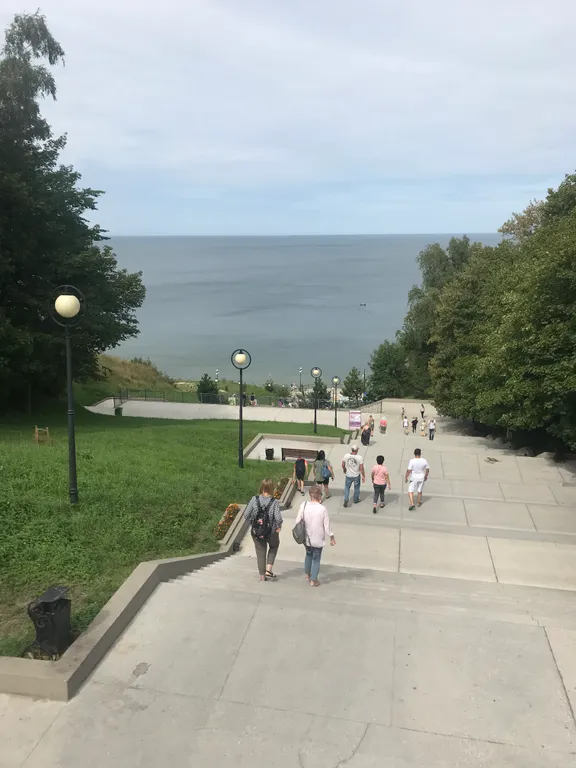 Квартира 1-комнатная Квартира — Светлогорск