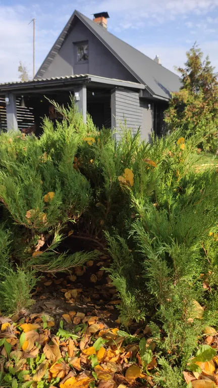 Шале Можжевеловое