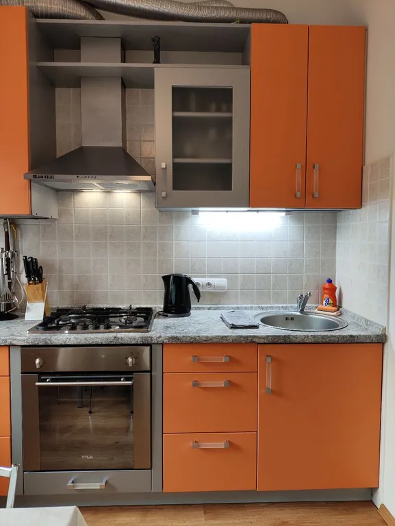 Квартира Уютные апартаменты в центре города — Светлогорск