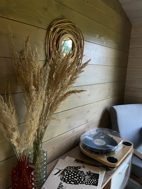 Коттедж Дубль дома с панорамными окнами на сосны — Семеновское