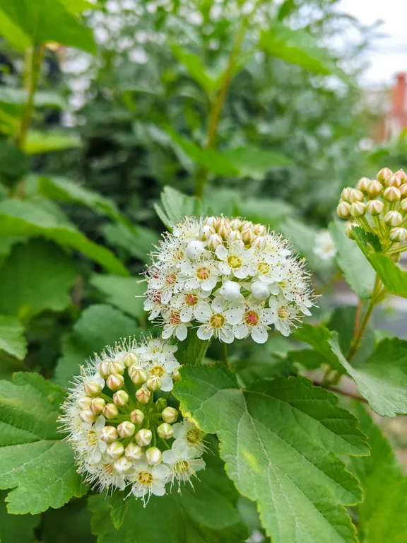 Коттедж с домашней атмосферой