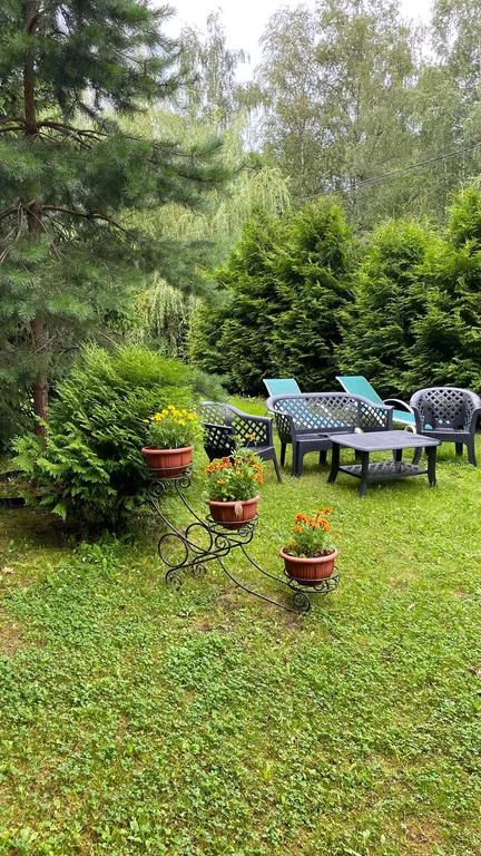 Коттедж Уютный домик в лесу — Дубровки