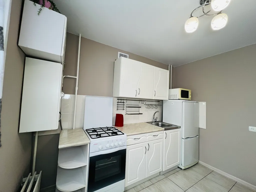 1-комнатная квартира в деловом и историческом центре города с новогодней елкой