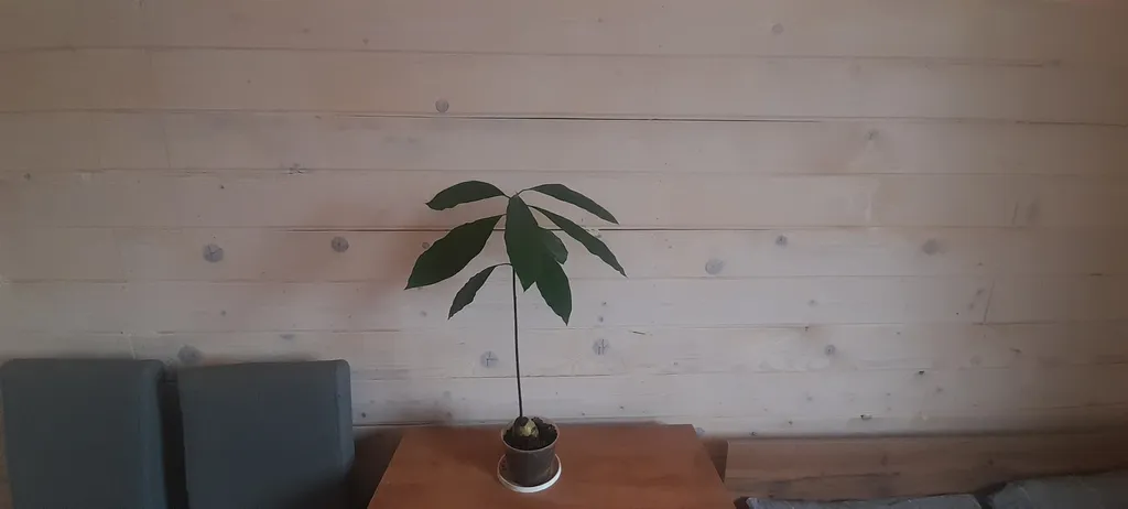 Уютная комната-студия