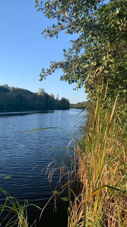 Усадьба Домик у пруда