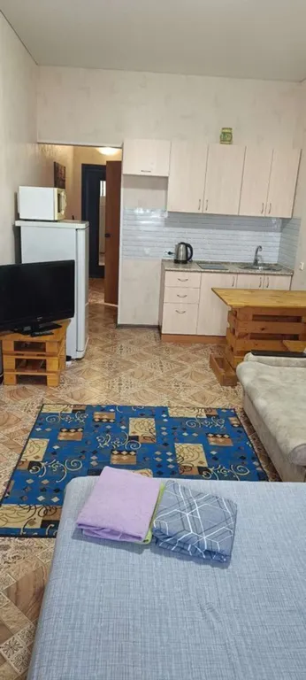 1-комнатная квартира — аренда посуточно в Томск