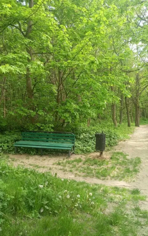 Двухкомнатные апартаменты на побережье Балтийского моря