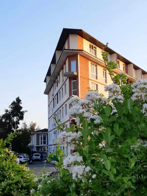Квартира Квартира Sirius Eco Lodge Apart — Сириус
