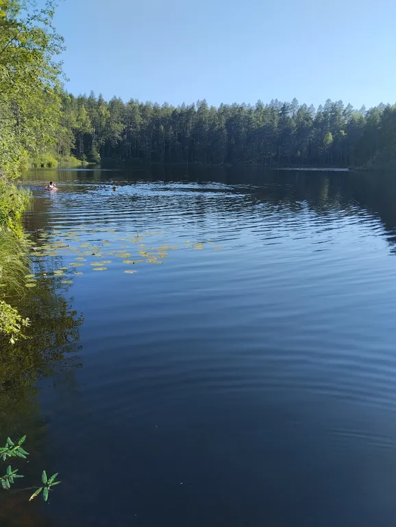 Коттедж Дом среди трех озёр — Луга