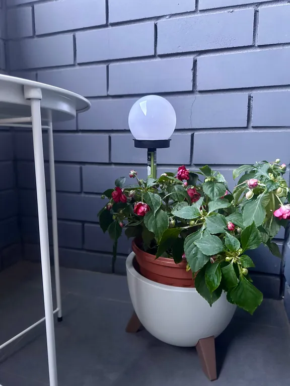 Апартаменты около ТочМаш и Арт Дворца