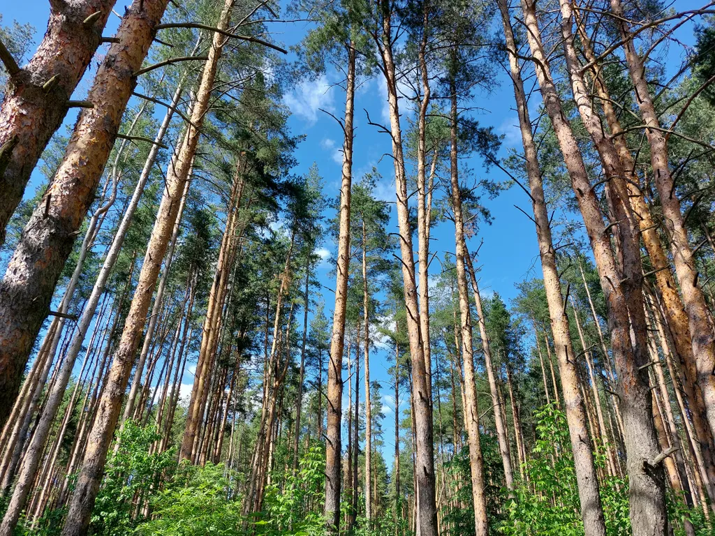 Апартаменты Мирные