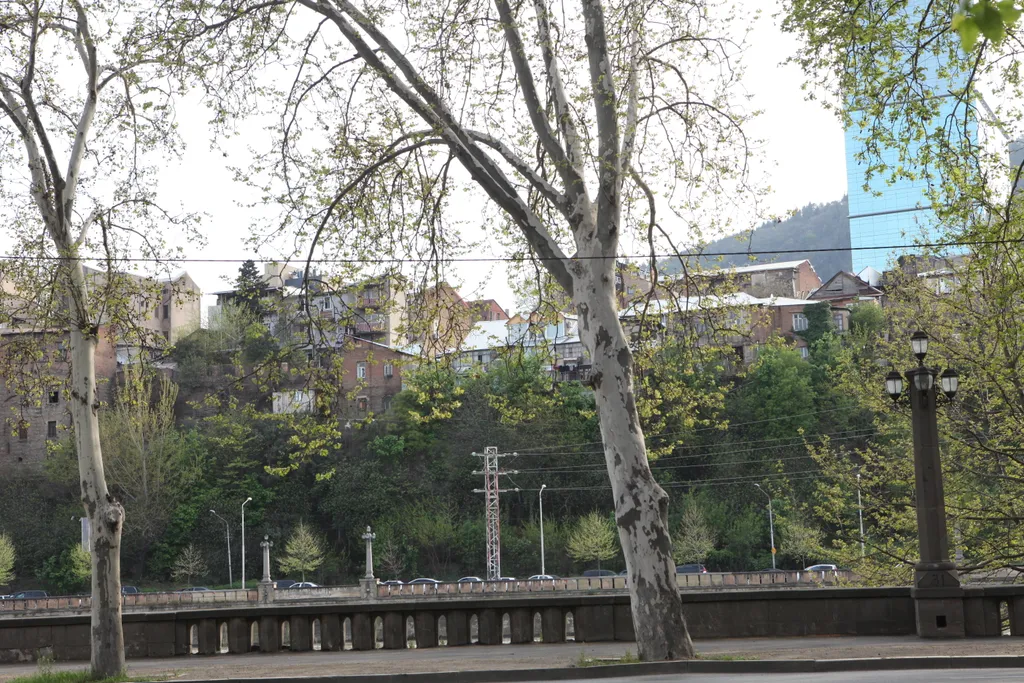 Квартира в центре