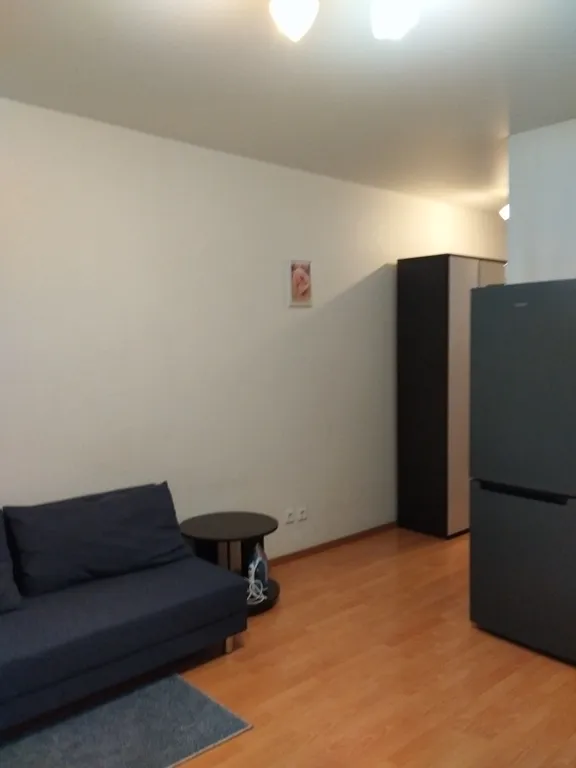 Квартира Студия с видом на центр — Екатеринбург