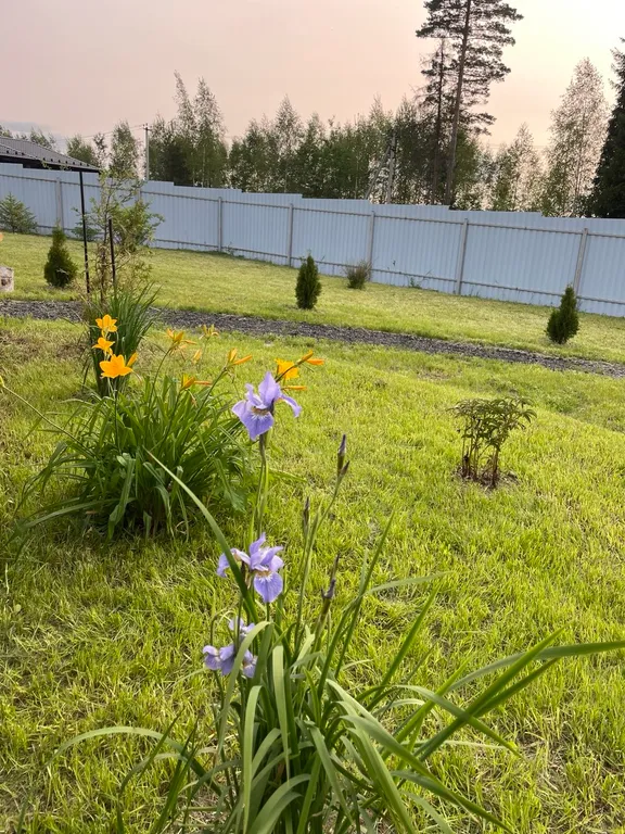 Уютный афрейм