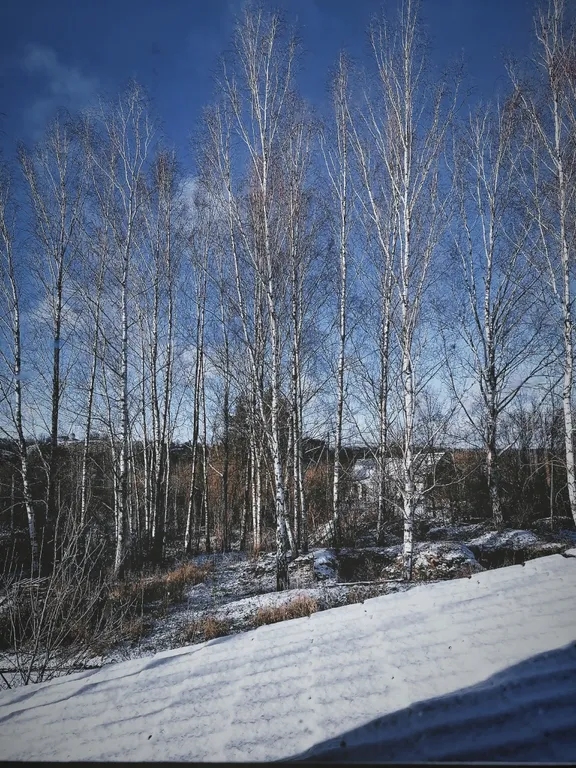 Дом Избушка Луна