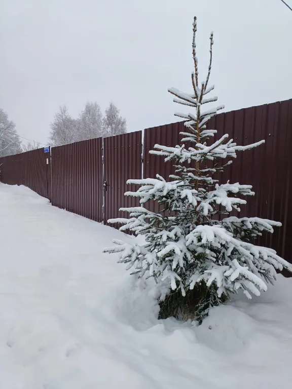 Уютный дом в Подберезье