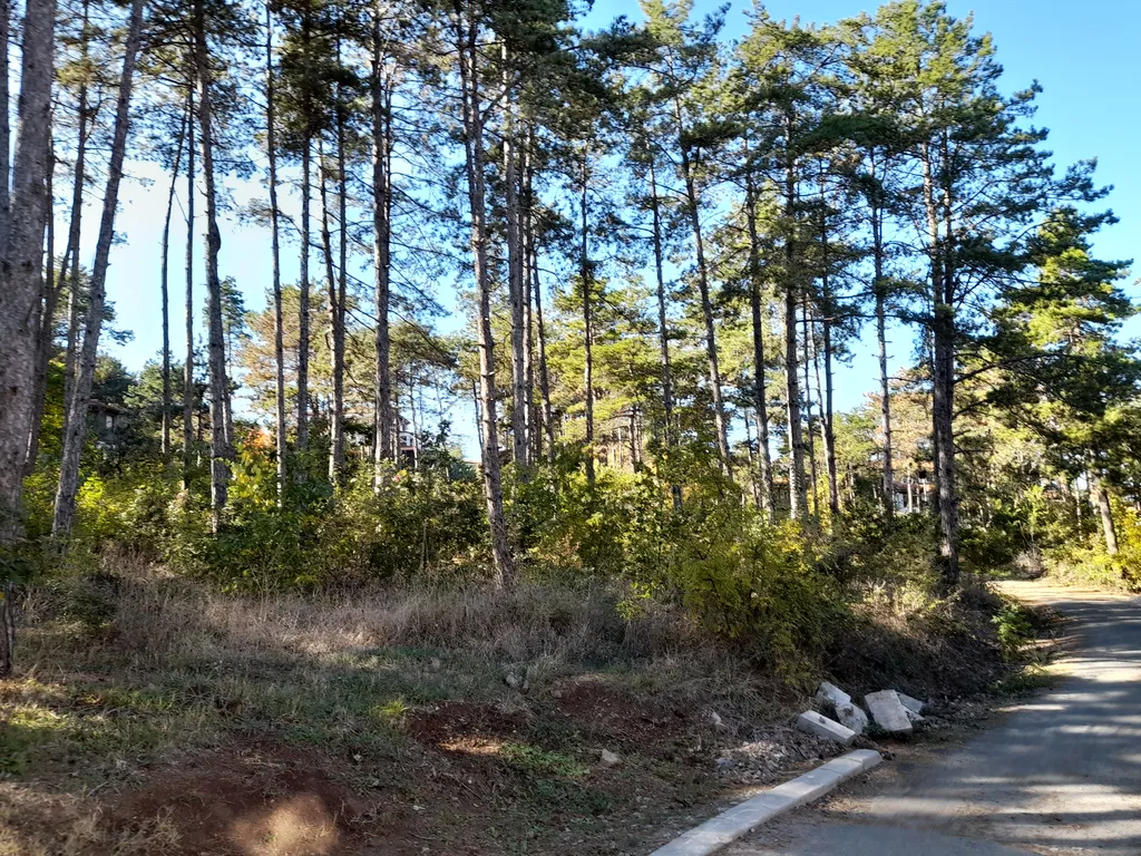 Трехкомнатный люкс в соснах у моря в Санта Марина