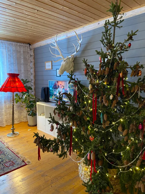 Уютный дом в Подмосковье