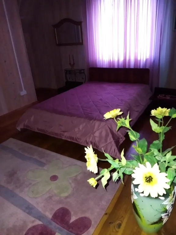 Коттедж Коттедж Наедине с природой — Минск