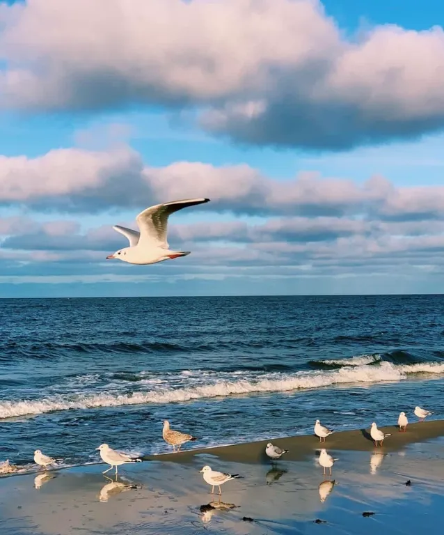 Дизайнерский апартамент с видом на море