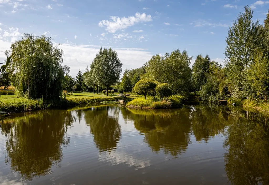 Элитная вилла-усадьба villachiki