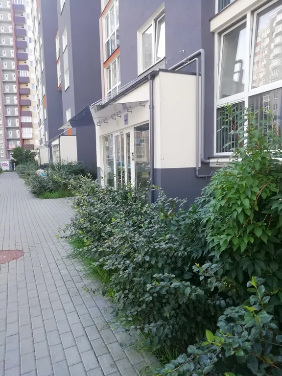 Квартира Уютная квартира в хорошем районе с развитой инфраструктурой — Калининград