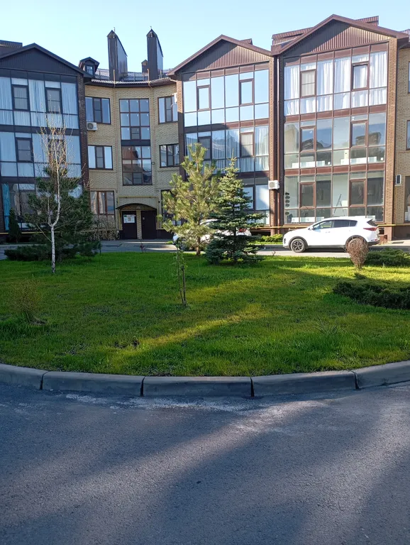 Квартира с цветами