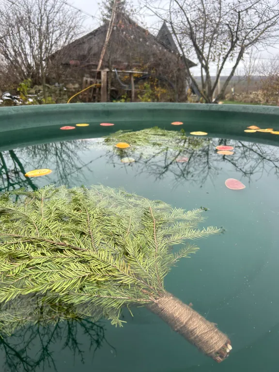 Уютный афрейм с горячей купелью на берегу реки Дон