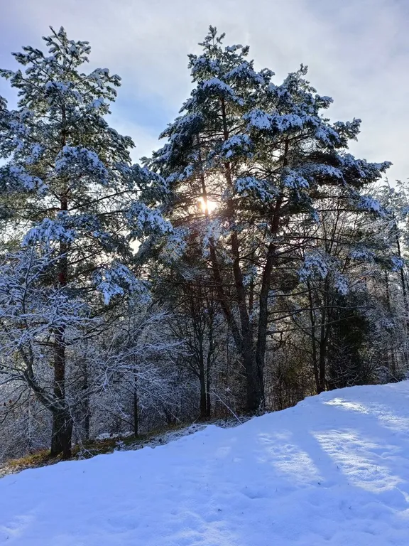 Коттедж Коттеджи у озера — Луга