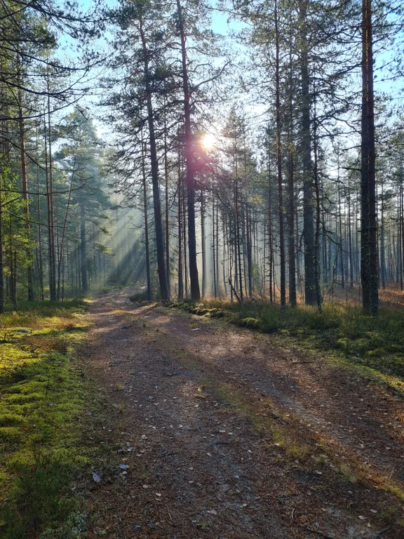 Дом у озера Мстижа
