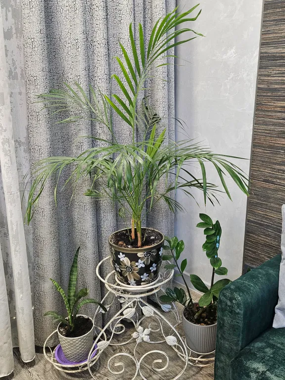 3-х комнатная квартира, 80 м², 4 кровати