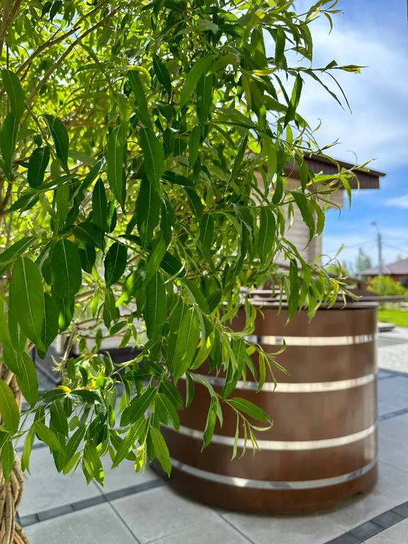 Дом-баня Nickol