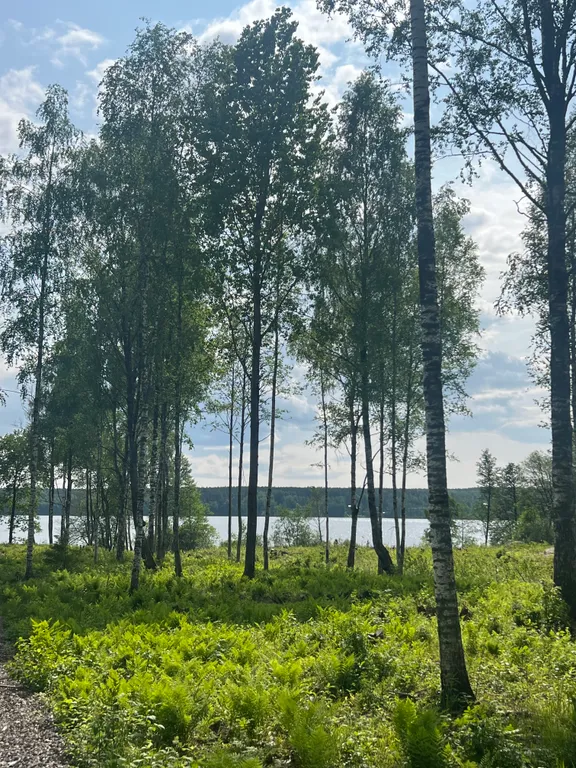 Дом у озера