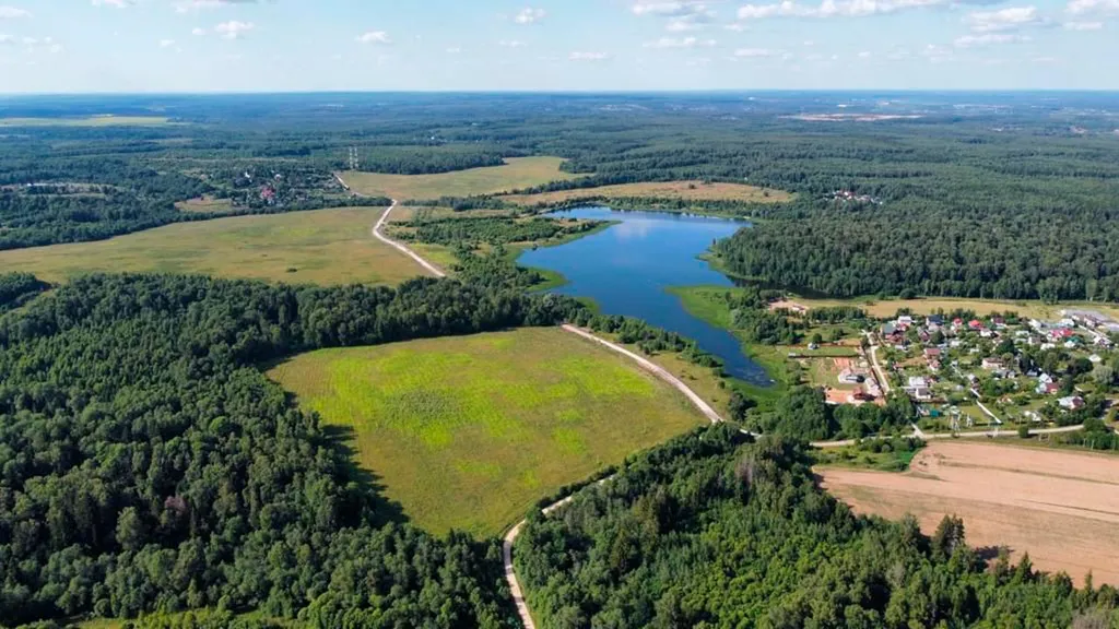 Домик в лесу с пятнистыми оленями и кроликами