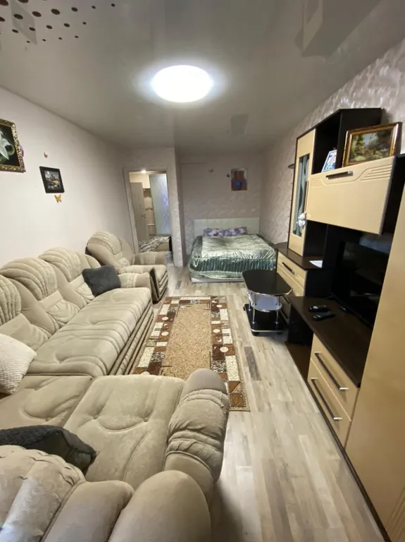 Большая уютная однокомнатная квартира в центре города