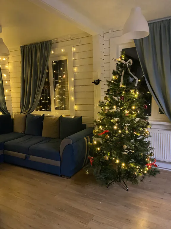 Дом для дружной компании