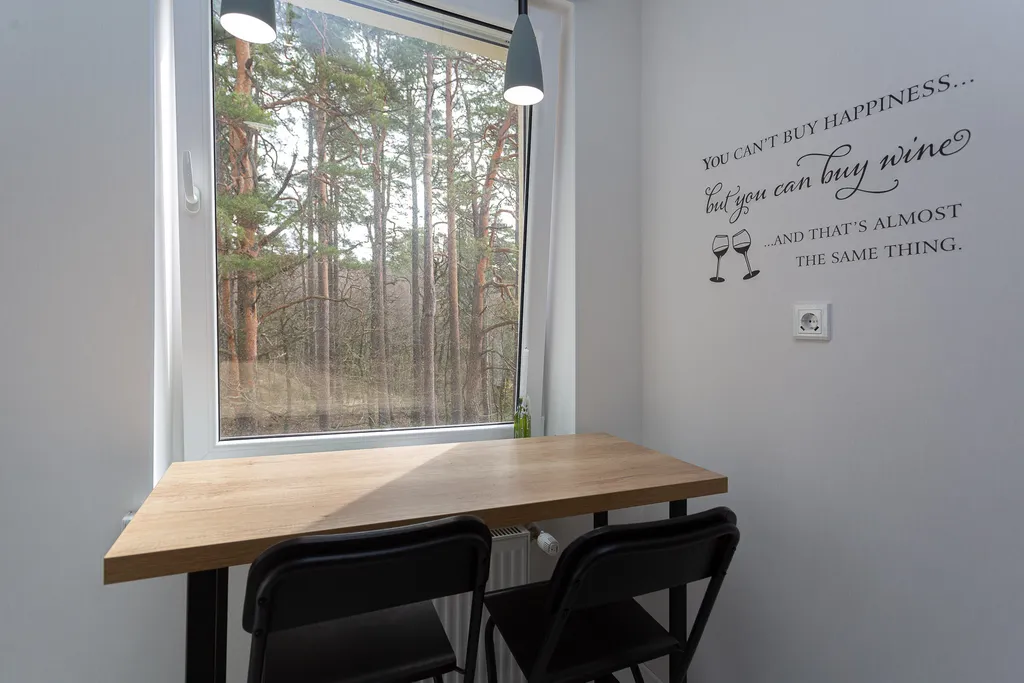 Квартира Квартира Silent lake studio apartment с видом на сосновый бор — Светлогорск