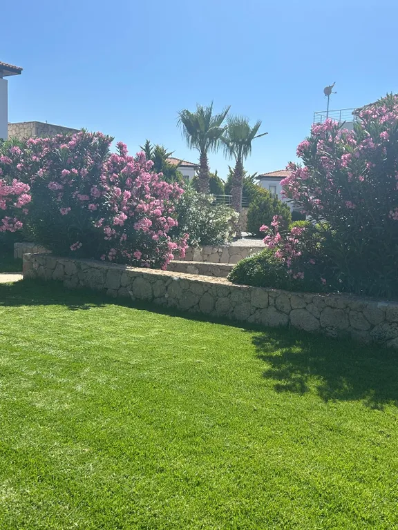 Уютная квартира на берегу моря с видом на горы