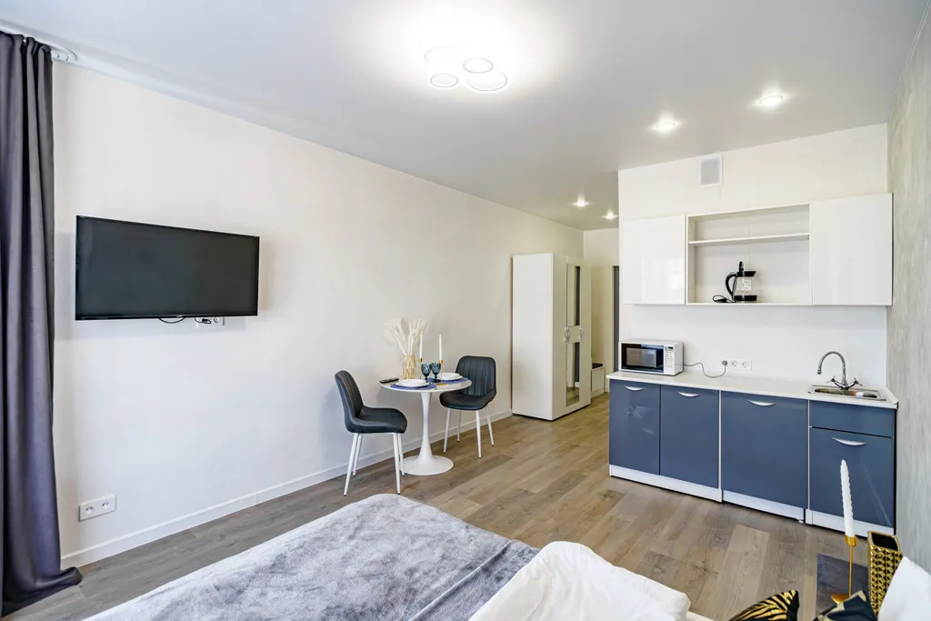 Студия Брутальный лев с панорамным видом на набережную реки