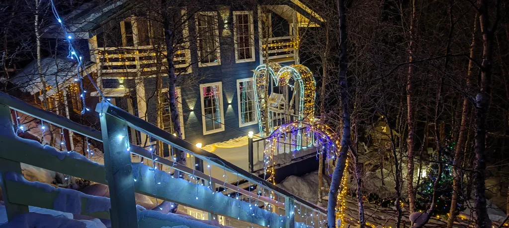 Дом у Светланы Алешиной